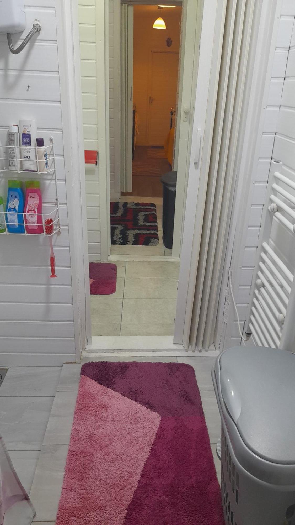 Private Studio Extension With Bathroom And Kitchen Londyn Zewnętrze zdjęcie
