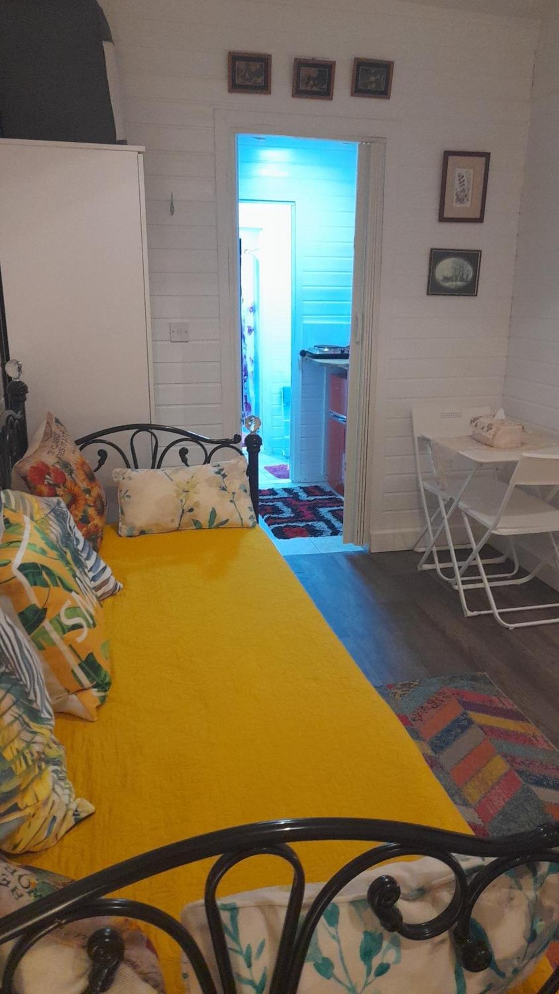 Private Studio Extension With Bathroom And Kitchen Londyn Zewnętrze zdjęcie