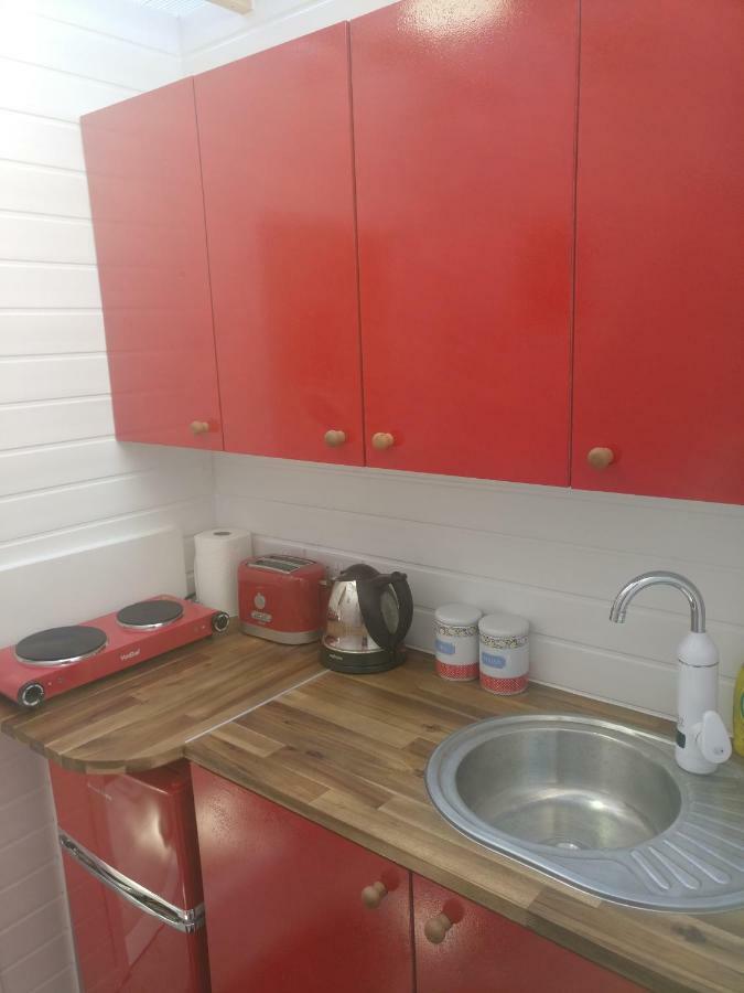 Private Studio Extension With Bathroom And Kitchen Londyn Zewnętrze zdjęcie