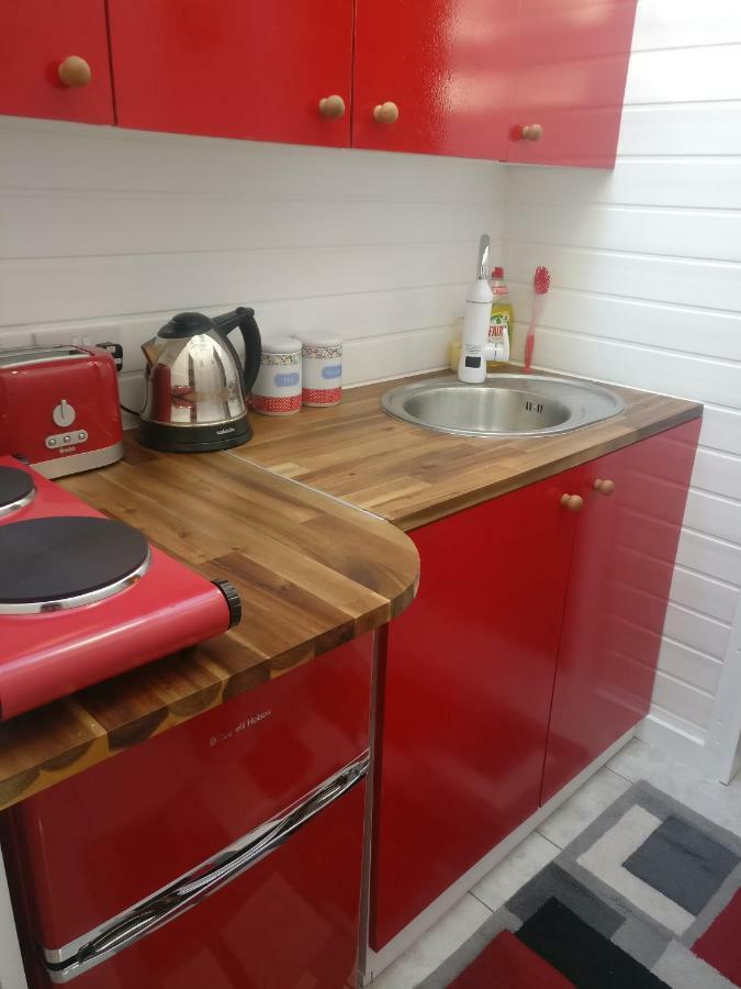 Private Studio Extension With Bathroom And Kitchen Londyn Zewnętrze zdjęcie
