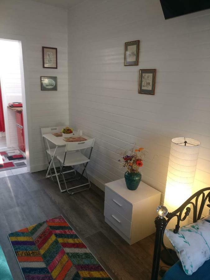 Private Studio Extension With Bathroom And Kitchen Londyn Zewnętrze zdjęcie